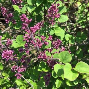 Meet your Posher, Ben